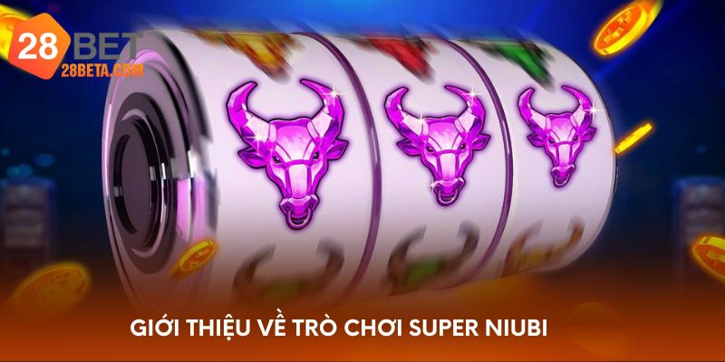 Giới thiệu về trò chơi Super Niubi