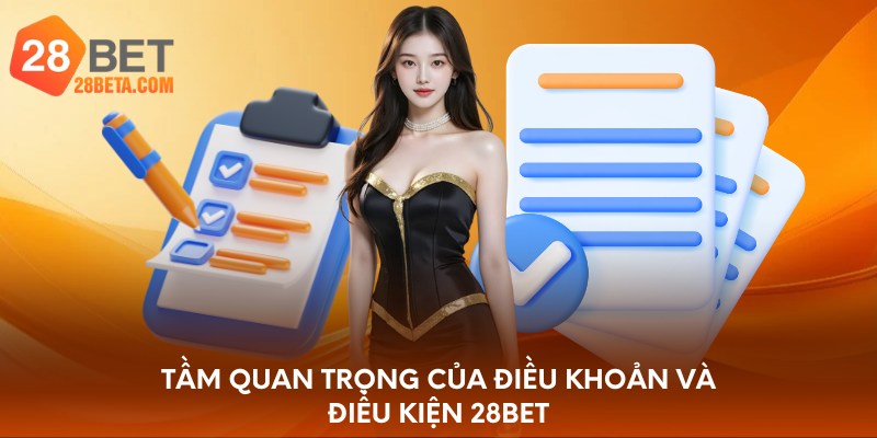 Tầm quan trọng của điều khoản và điều kiện 28bet